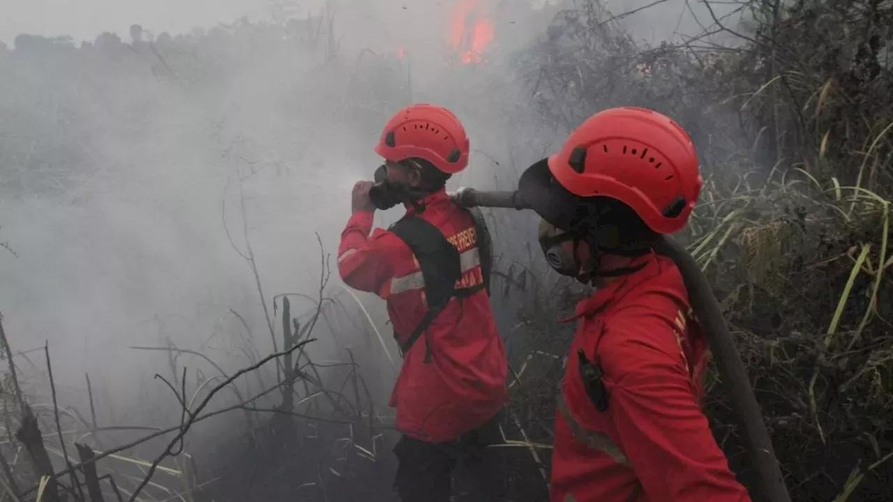 Karhutla dan Kabut Asap Jadi Sorotan, Pemerintah Buka Peluang Bantuan Asing